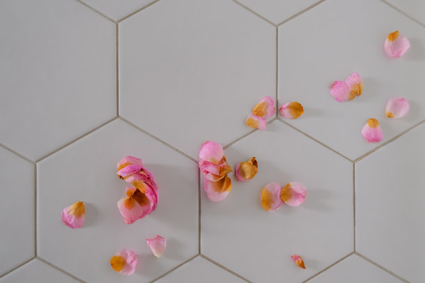干粉色玫瑰花瓣在白色瓷砖背景与复制空间图片下载