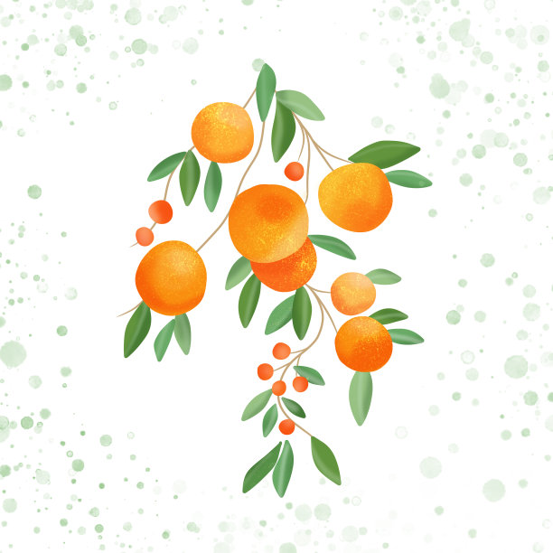 美味多汁的成熟橙子。夏天的插图图片下载