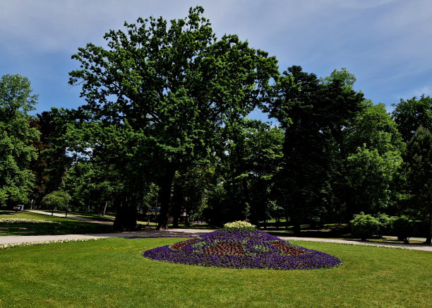 城堡前一楼的观赏花坛。一年生植物的种植呈圆形或条状，周围环绕着美丽的草坪。源自巴洛克风格的虚幻图案图片下载