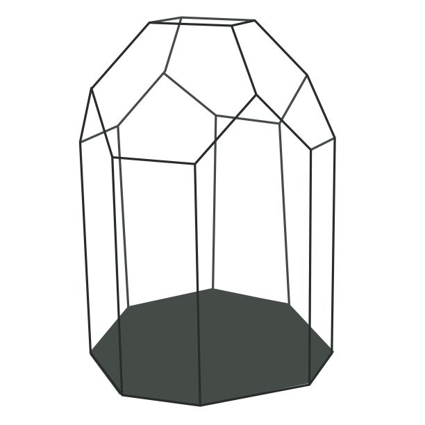 植物生长的现代温室。玻璃橘园，温室。矢量插图传单，封面设计。绿化、蔬菜、苗木为主题。图片下载