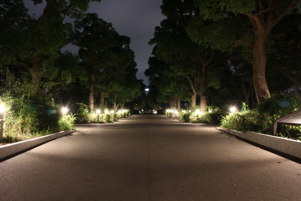 日本东京有明网球森林公园的夜景图片下载