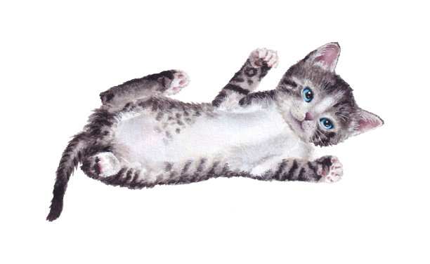 可爱的躺着的灰色小猫。手绘插图孤立在白色背景。图片下载