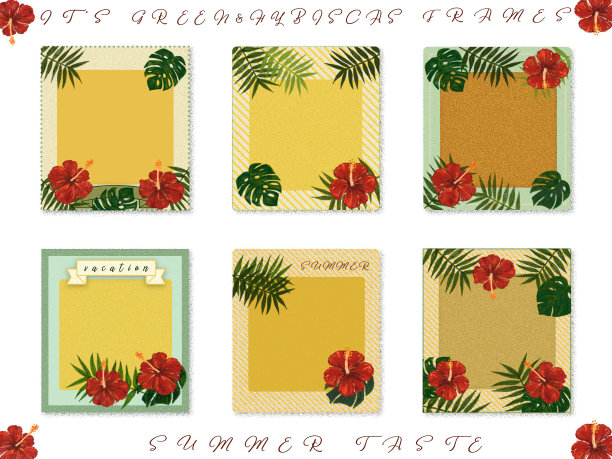 框架材质[夏日，海边]冬青棕榈、怪兽、芙蓉祝福卡(·∀·)图片下载