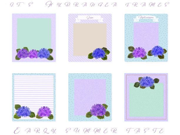 美丽的绣球花!相框和留言卡(·∀·)图片下载