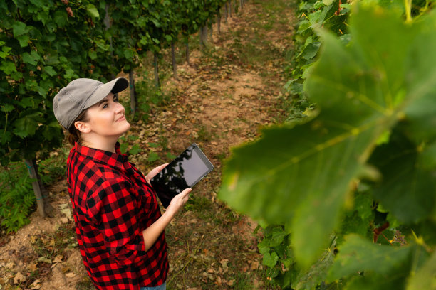 一位女农夫检查葡萄园图片下载