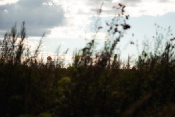从远处的草地上看，一座金色圆顶的小东正教教堂图片下载