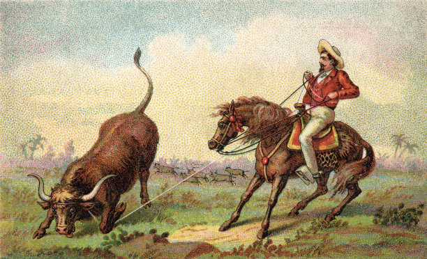 套索牛图片下载