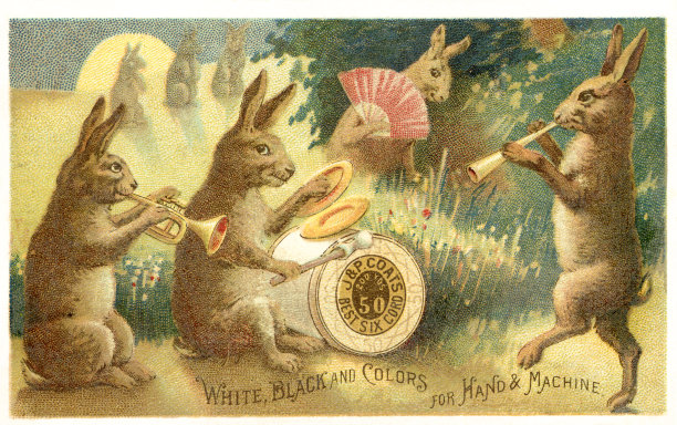 草地夜间兔带的彩色印版图片下载