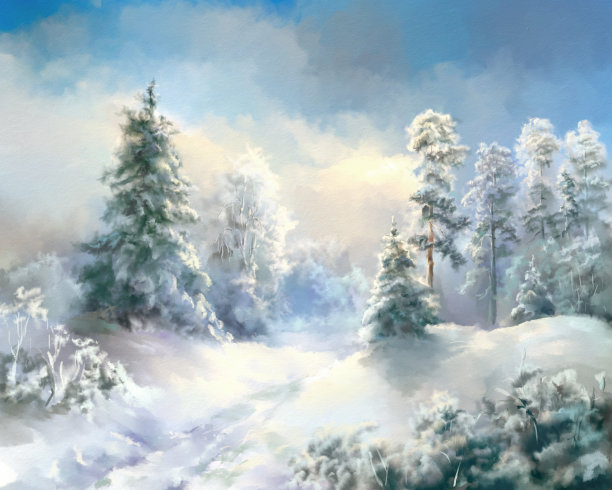 冬天森林图片下载