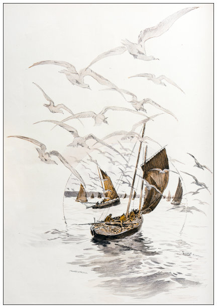 古董插图:杜阿内内斯的沙丁鱼捕鱼业图片下载