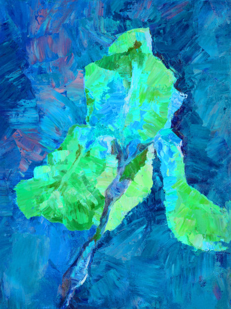 插画花油画风景虹膜和芽点燃的太阳在蓝色的背景图片下载