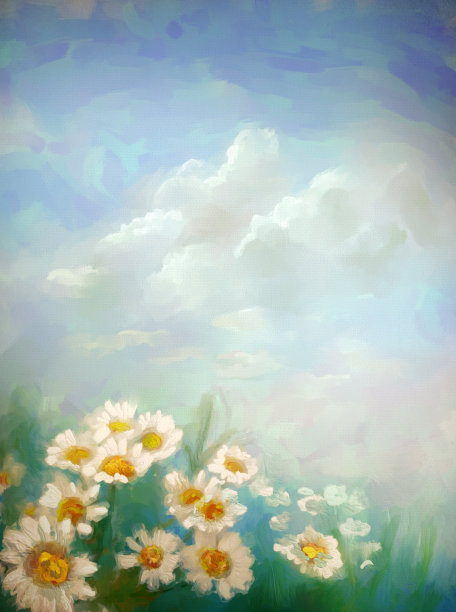 夏日草地上的雏菊图片下载