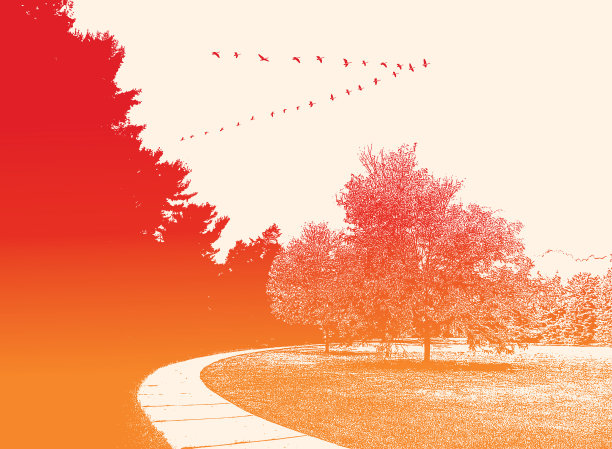 绿树成荫的公园和鸟群图片下载