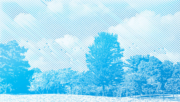 绿树成荫的公园和鸟群图片下载