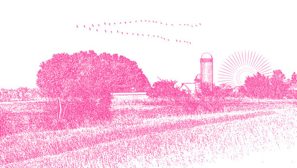 农场与加拿大鹅飞行在V形图片下载