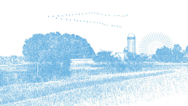 农场与加拿大鹅飞行在V形图片下载