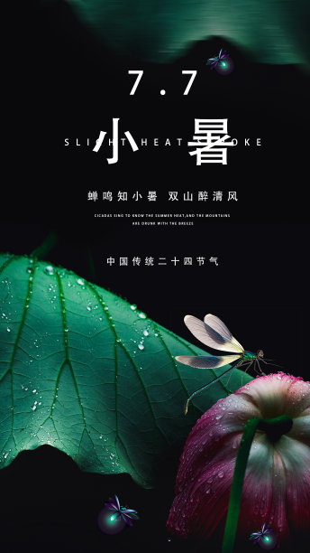 小暑荷叶蜻蜓简约合成手机海报图片下载