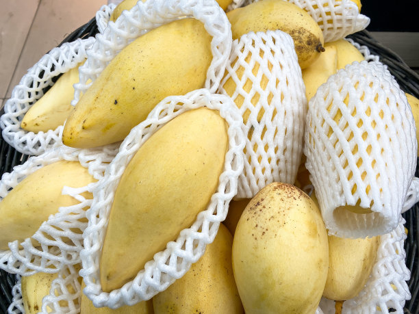 黄色的芒果被包在泡泡里图片下载