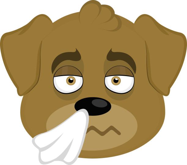 矢量插图脸狗卡通冷和手帕图片下载