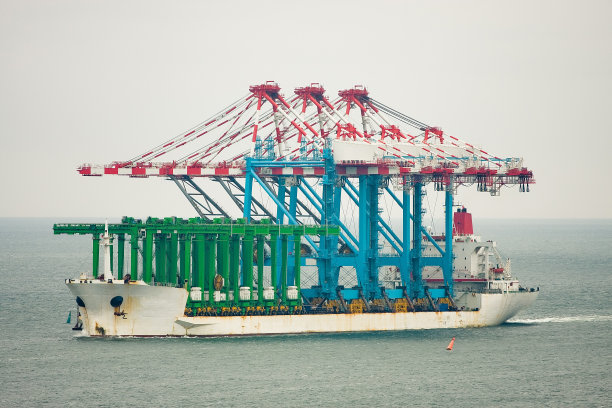 靠泊和后方集装箱装载机STS和RTG的海上运输图片下载