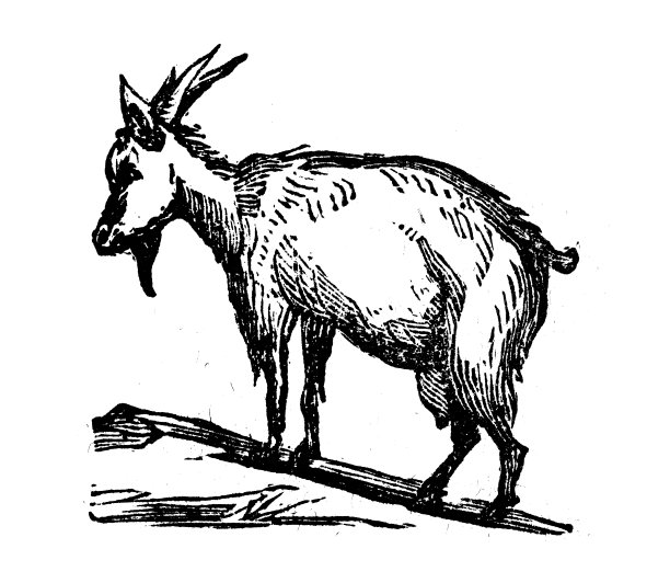 古色古香山羊插画图片下载