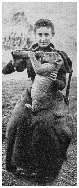 古董照片:女人用奶瓶喂小豹图片下载