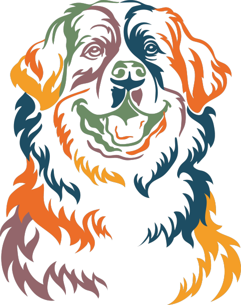 伯尔尼山犬彩色轮廓画像图片下载