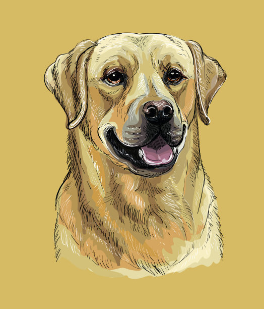 拉布拉多寻回犬手绘配色图片下载
