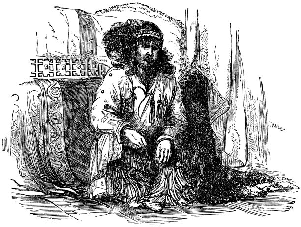 涅涅茨萨莫耶萨满在西伯利亚，俄罗斯- 19世纪图片下载