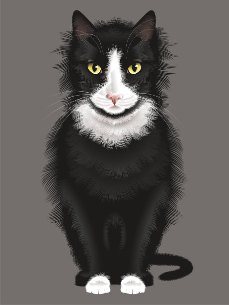 燕尾服的猫图片下载