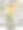 女孩在白色背景下购物图片下载