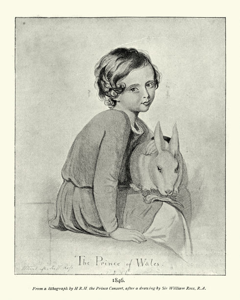 爱德华七世，小时候和宠物兔子在一起，1846年图片下载