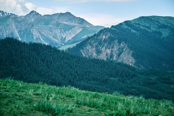 夏季山脊的高角度视图图片下载