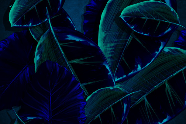 通过Monstera工厂的夜景图片下载