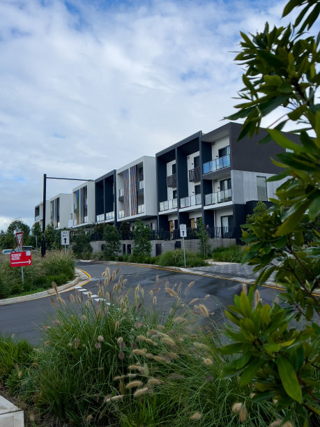 现代排的mews梯田和集群住宅图片下载