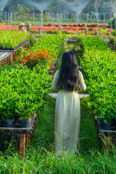 穿着传统服装的越南妇女图片下载