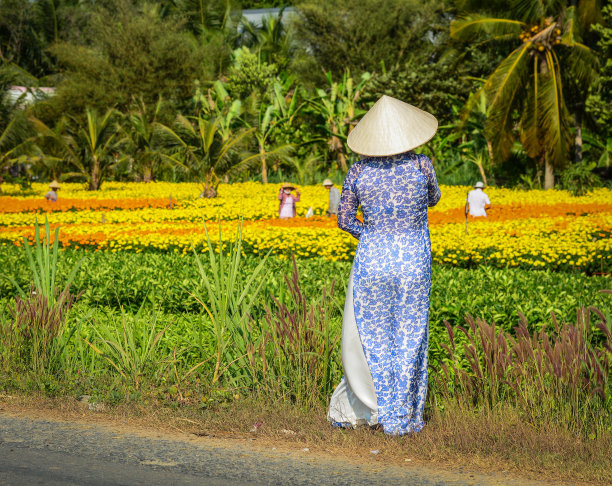 穿着传统服装的越南妇女图片下载