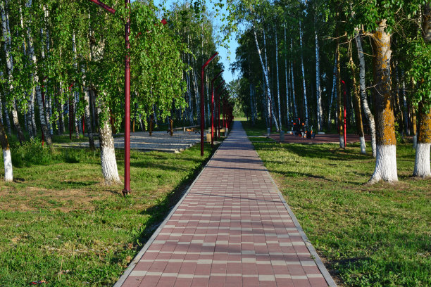 人行道在公园的地平线上，没有人图片下载