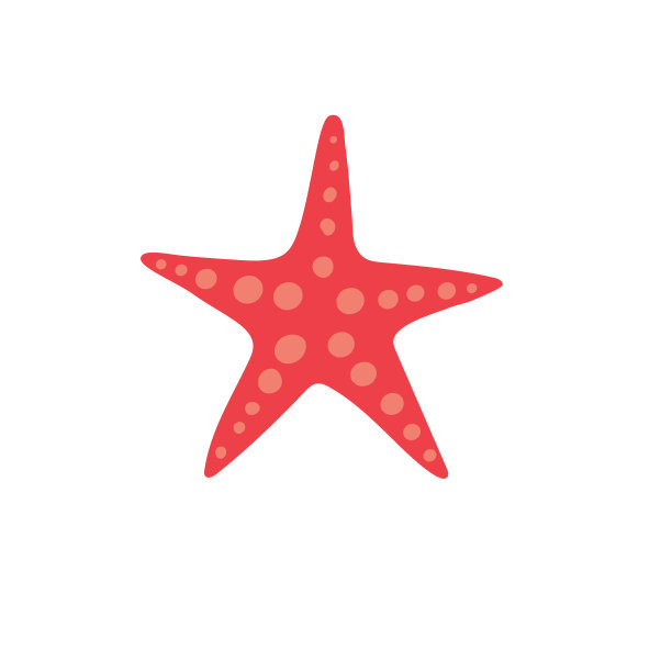 航海图标-海星图片下载