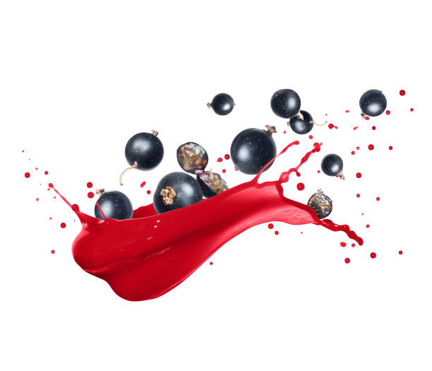 成熟的黑加仑子，在白色的背景上散发着汁水图片下载