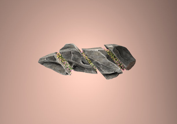 开着花的石头图片下载