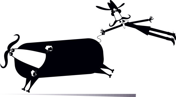 卡通骑手和一头倔强的公牛被孤立了图片下载