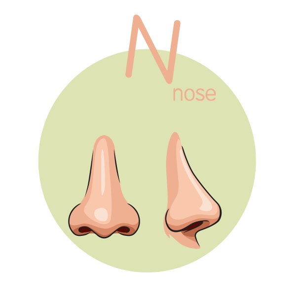 向量插图的儿童活动涂色书页与图片的鼻子。图片下载