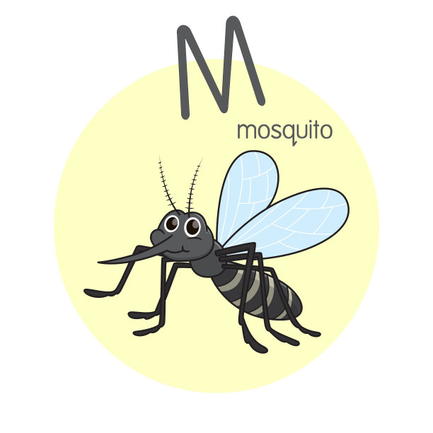 矢量说明蚊子与字母M大写字母或大写字母的儿童学习练习ABC图片下载