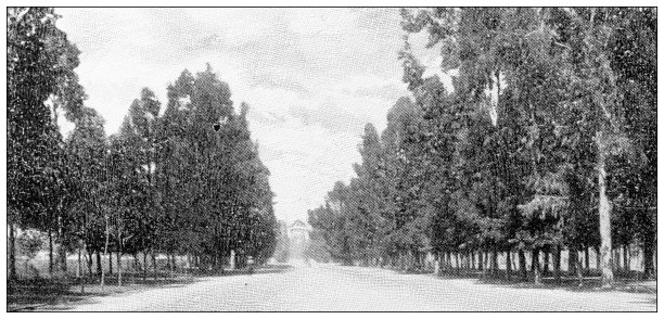 墨西哥古色古香的旅行照片:Paseo图片下载