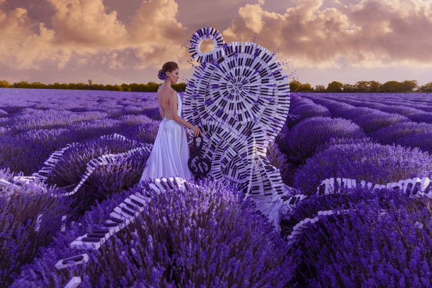 美丽的女人在薰衣草田与高音谱号和钢琴宝座图片下载