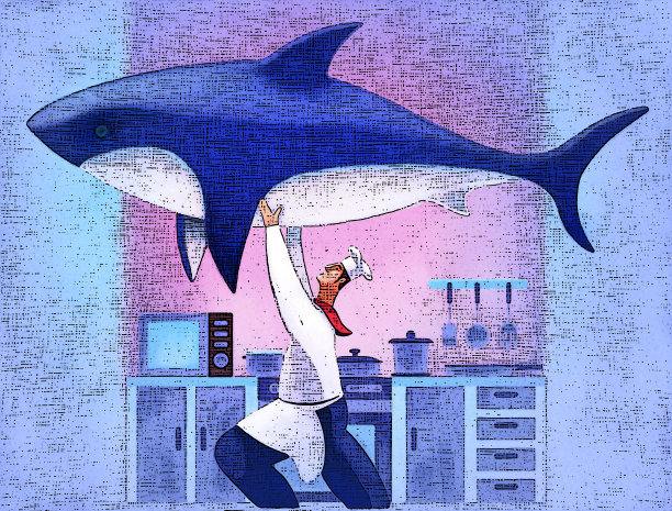 厨师在厨房里抓鲨鱼图片下载