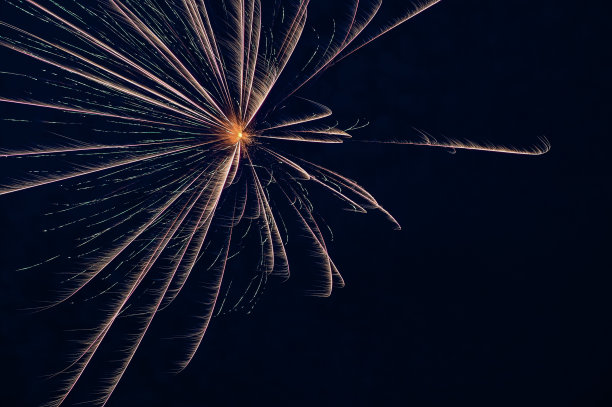 烟花21图片下载