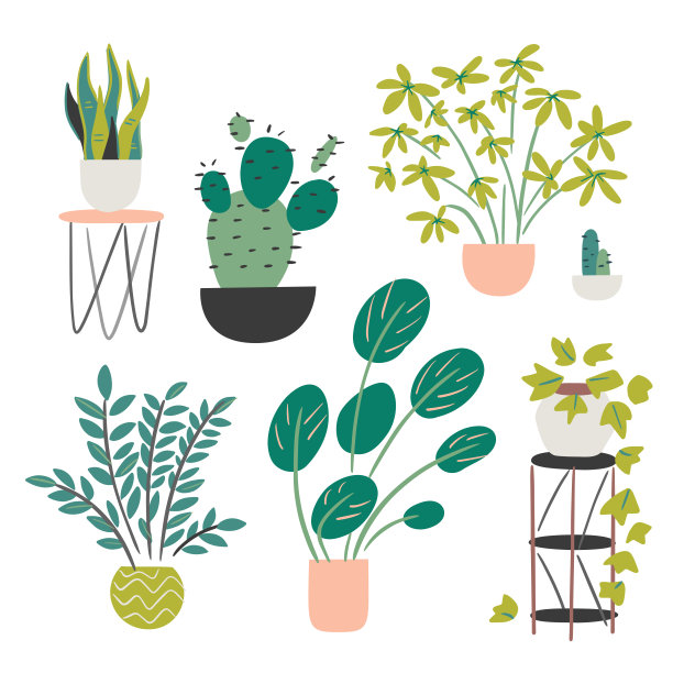 各种室内植物收集-手绘矢量元素图片下载
