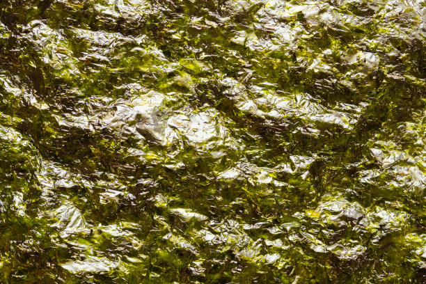 干海苔片纹理背景图片下载